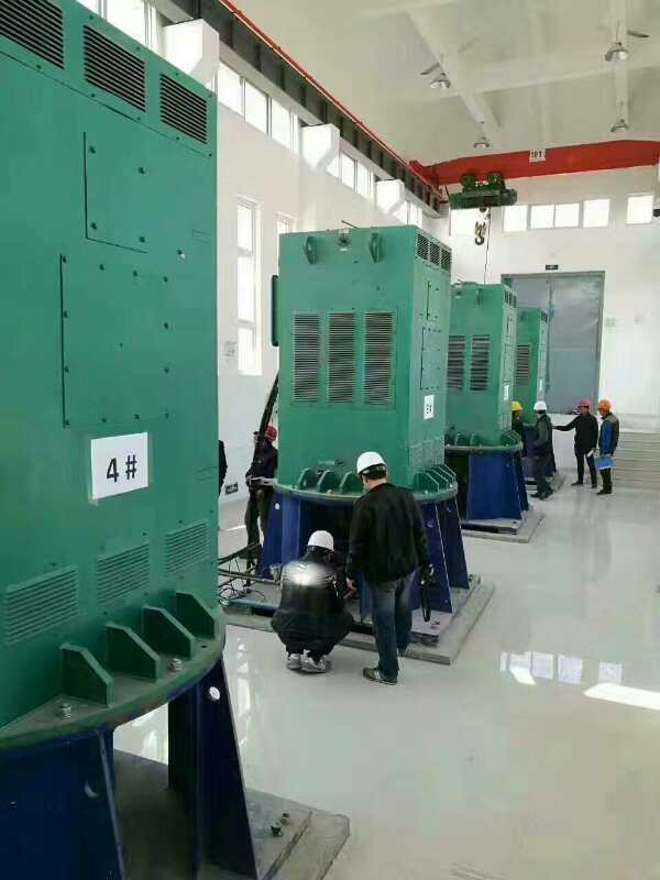 青山某污水处理厂使用我厂的立式高压电机安装现场